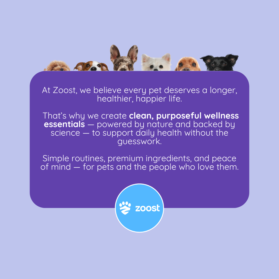ZOOST Megabites 12-in-1 Multivitamins Soft Chews for Dogs and Cats for Immune, Joint, Heart & Digestion