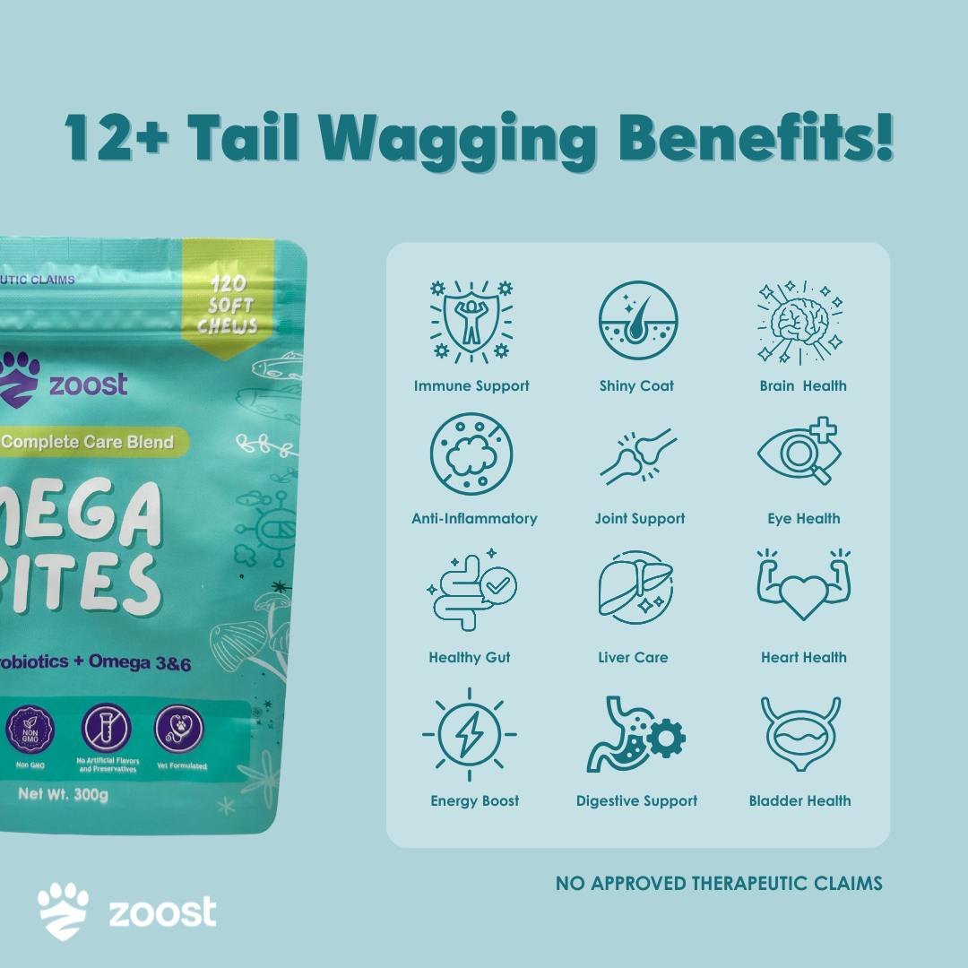 ZOOST [BUY 1 TAKE 1] 12 in 1 Megabites Probiotics Mushroom Powder Soft Chews for Immune Gut Energy