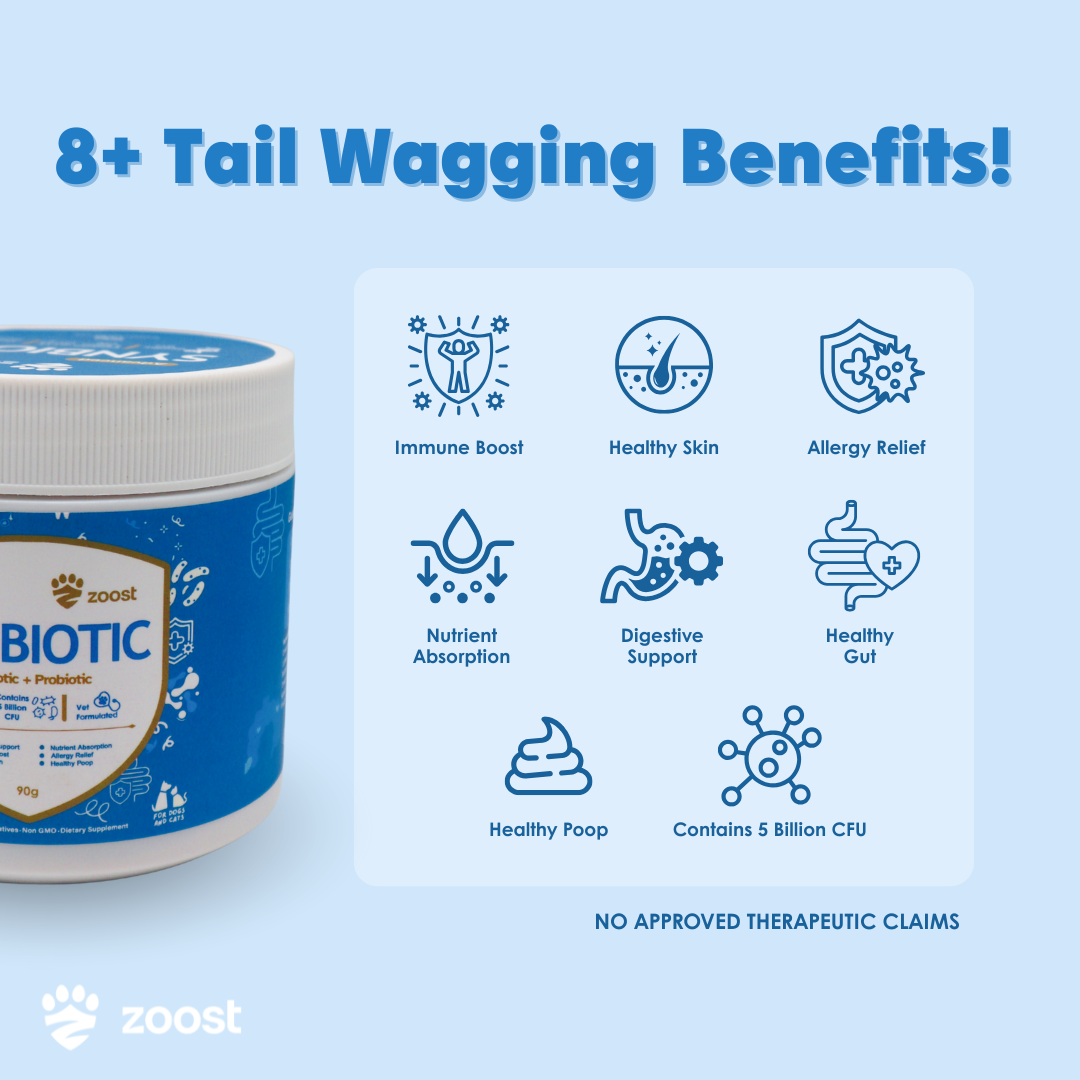 ZOOST [BUY 1 TAKE 1] 12 in 1 Megabites Probiotics Mushroom Powder Soft Chews for Immune Gut Energy