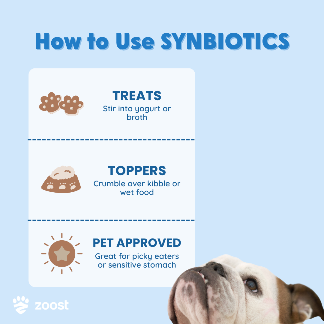ZOOST Synbiotic Probiotic and Prebiotic Powder Supplement for Dogs and Cats (90g)