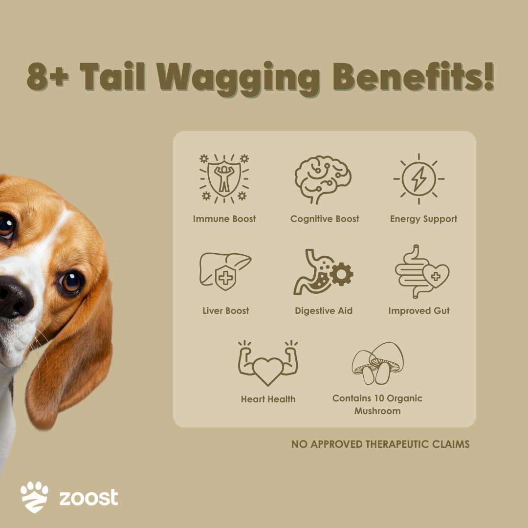 ZOOST 10 in 1 Mushroom Powder Supplement for Dogs and Cats - For Immune, Energy and Vitality