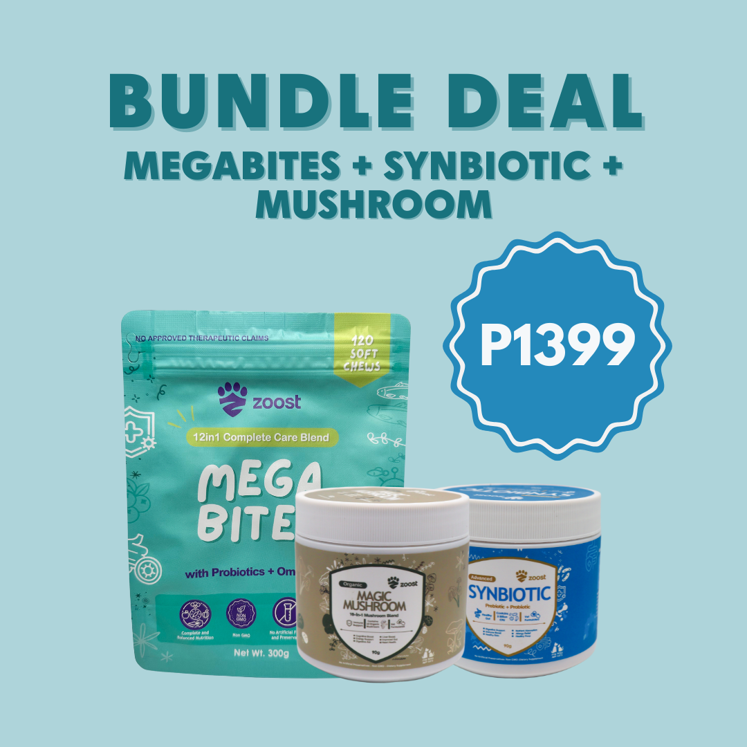 ZOOST [BUNDLE DEAL] Megabites Probiotics Prebiotics Mushroom Powder and Soft Chews for Immune Gut