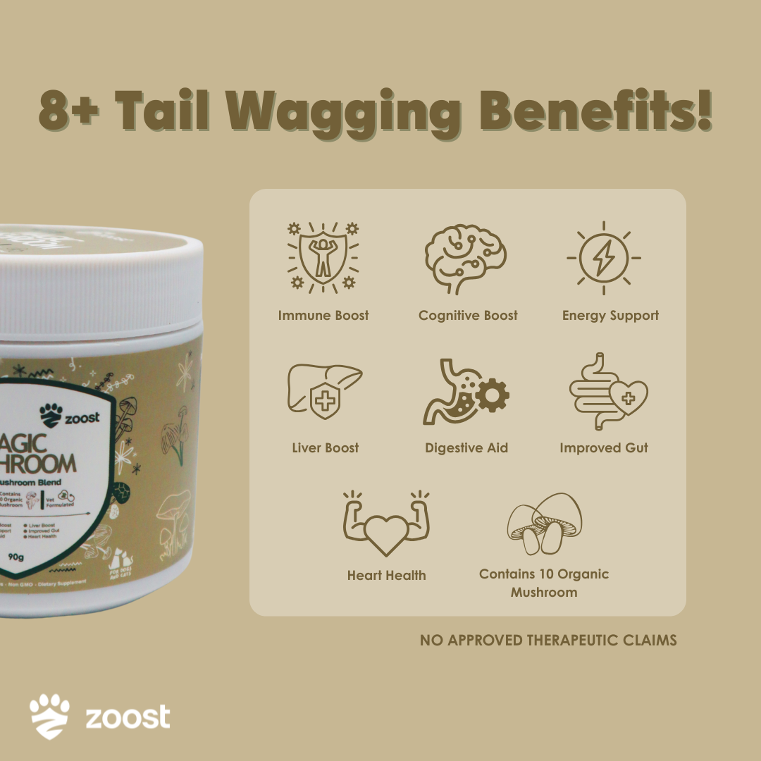 ZOOST [BUY 1 TAKE 1] 12 in 1 Megabites Probiotics Mushroom Powder Soft Chews for Immune Gut Energy