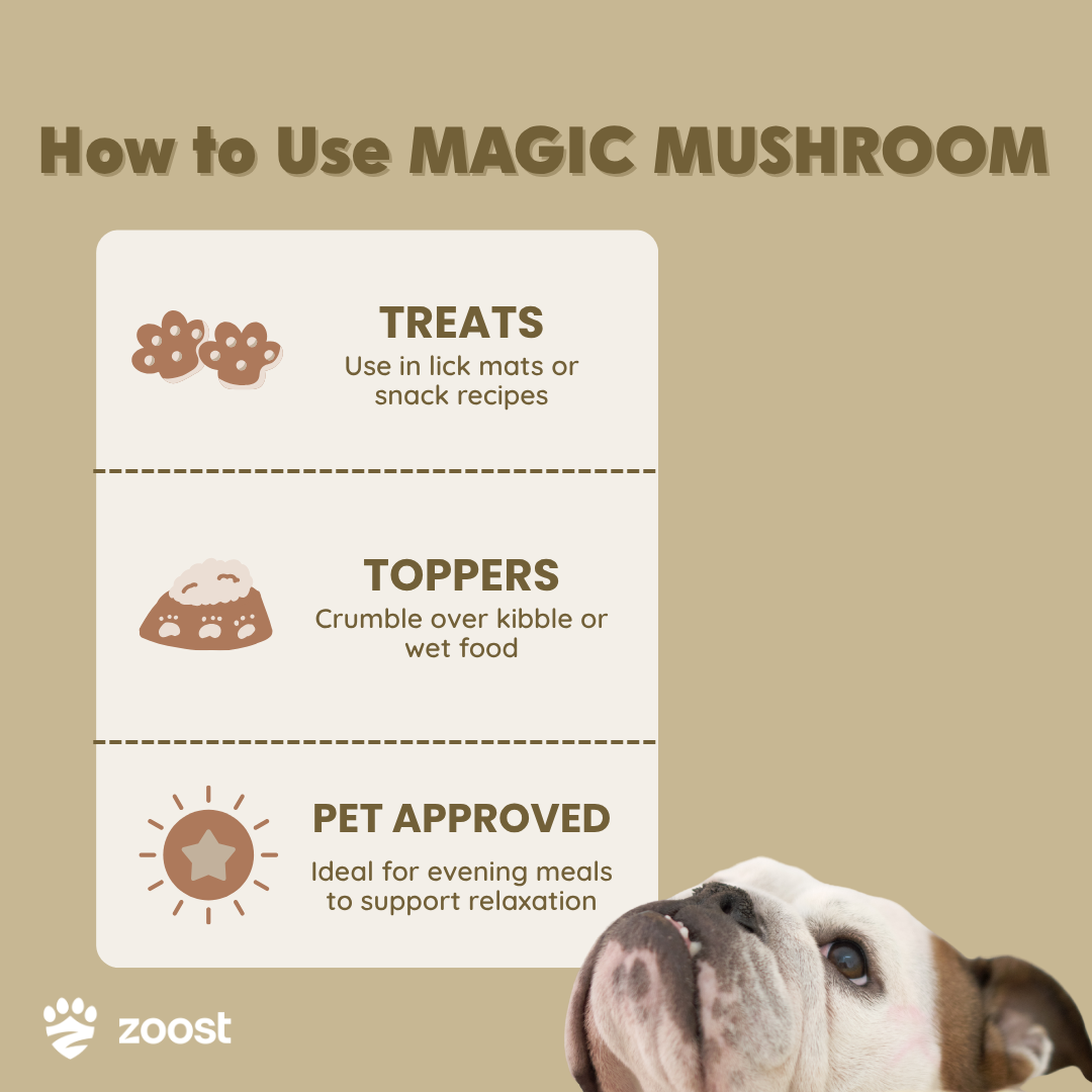ZOOST 10 in 1 Mushroom Powder Supplement for Dogs and Cats - For Immune, Energy and Vitality
