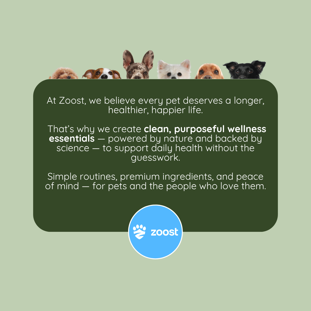 ZOOST 10 in 1 Mushroom Powder Supplement for Dogs and Cats - For Immune, Energy and Vitality