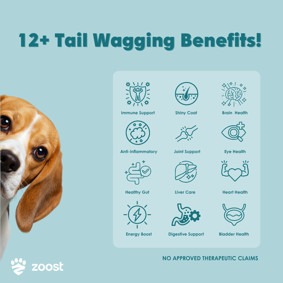 ZOOST Megabites 12-in-1 Multivitamins Soft Chews for Dogs and Cats for Immune, Joint, Heart & Digestion
