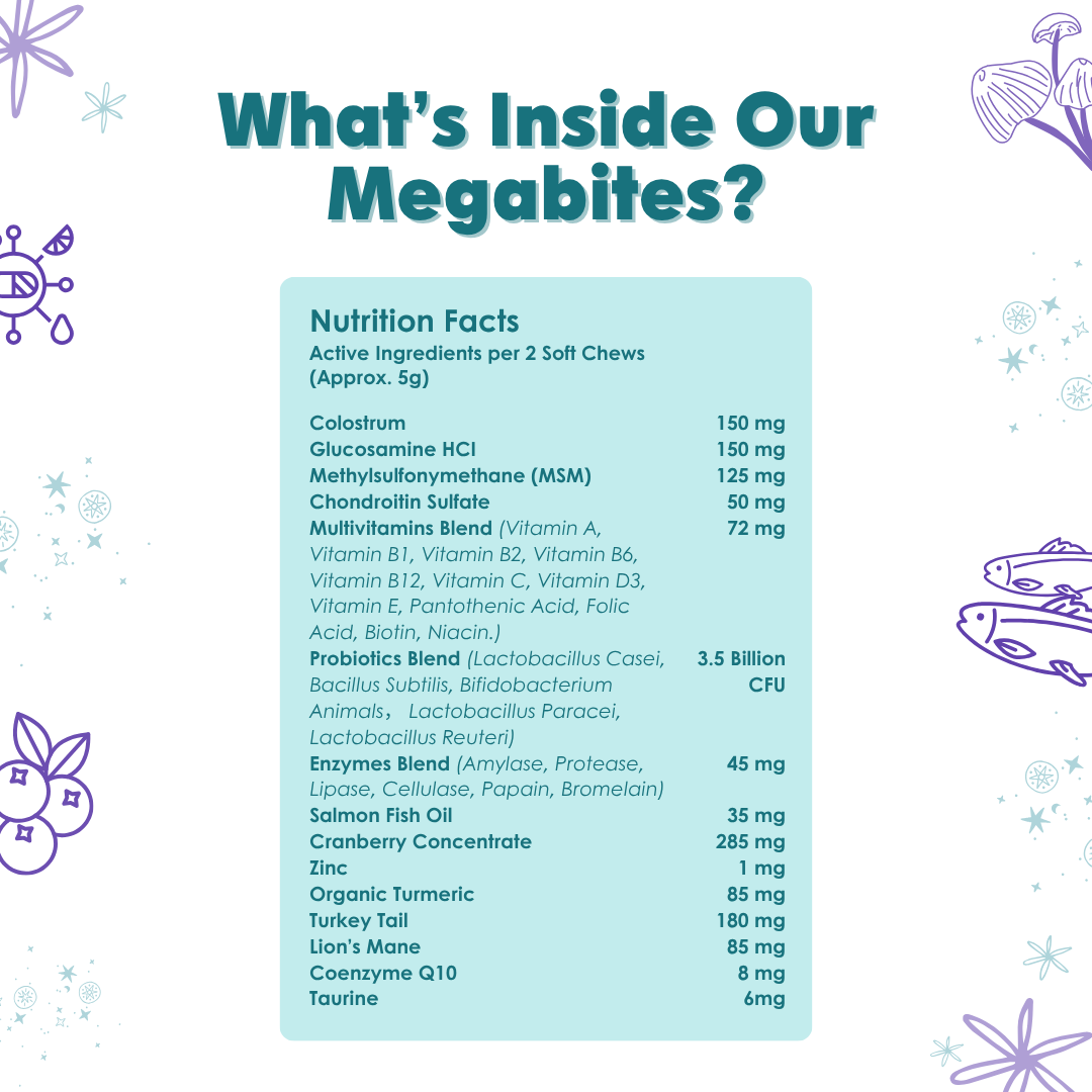 ZOOST [BUY 1 TAKE 1] Megabites 12 in 1 Multivitamins Soft Chews for Dogs and Cats Immune Digestion