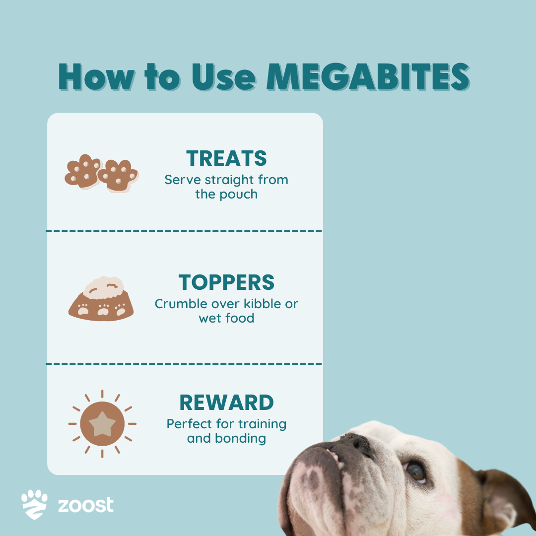 ZOOST [BUY 1 TAKE 1] Megabites 12 in 1 Multivitamins Soft Chews for Dogs and Cats Immune Digestion