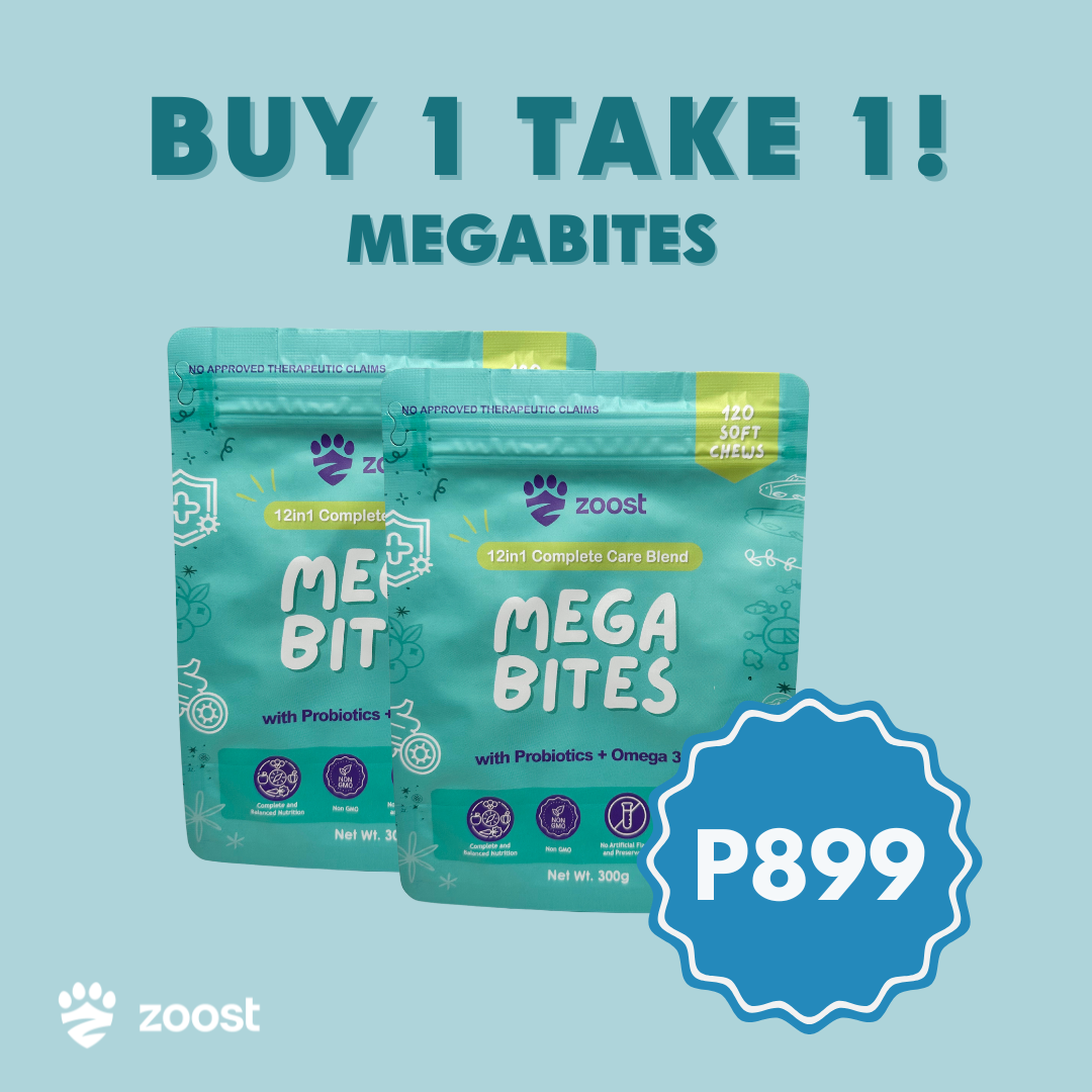 ZOOST [BUY 1 TAKE 1] Megabites 12 in 1 Multivitamins Soft Chews for Dogs and Cats Immune Digestion