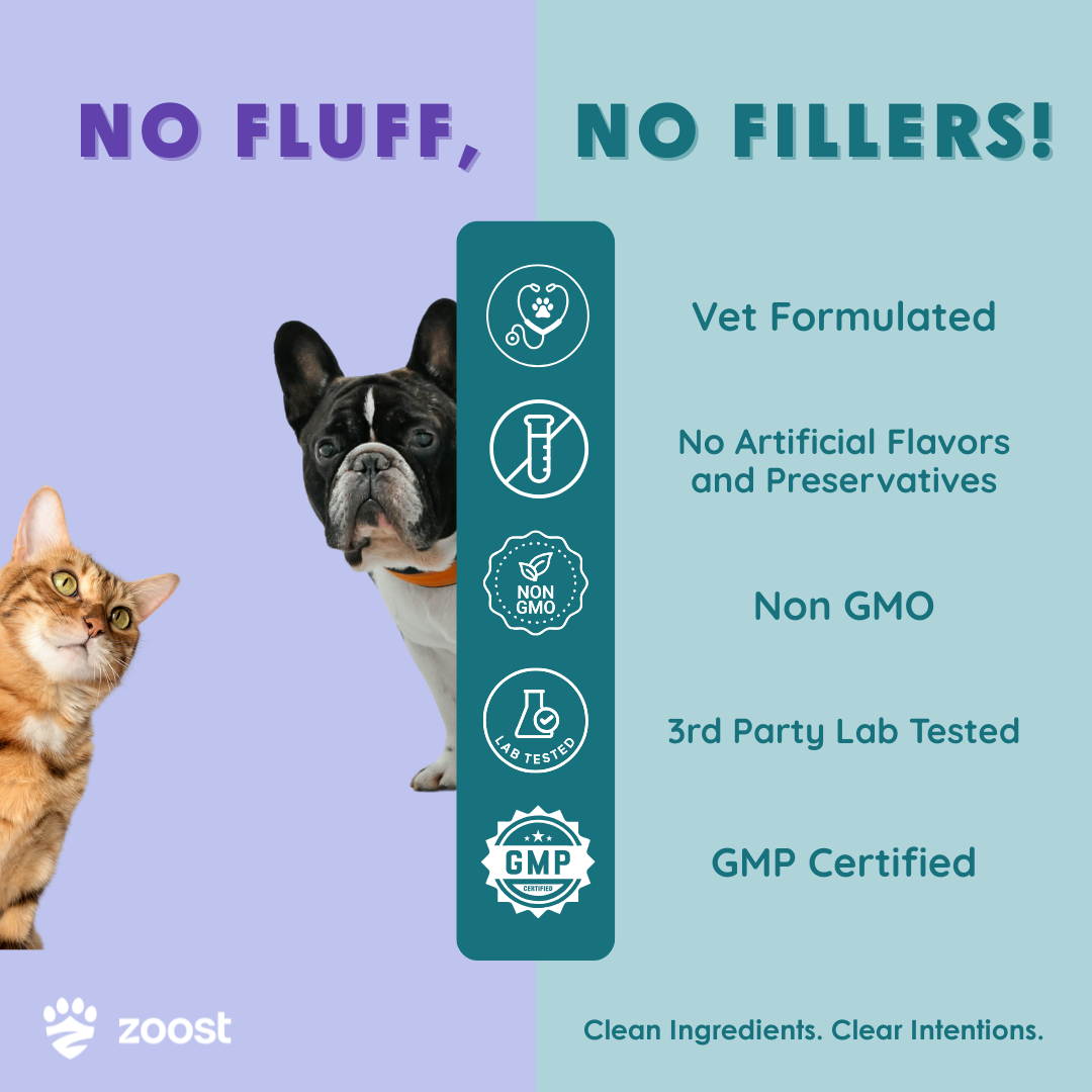 ZOOST [BUY 1 TAKE 1] Megabites 12 in 1 Multivitamins Soft Chews for Dogs and Cats Immune Digestion