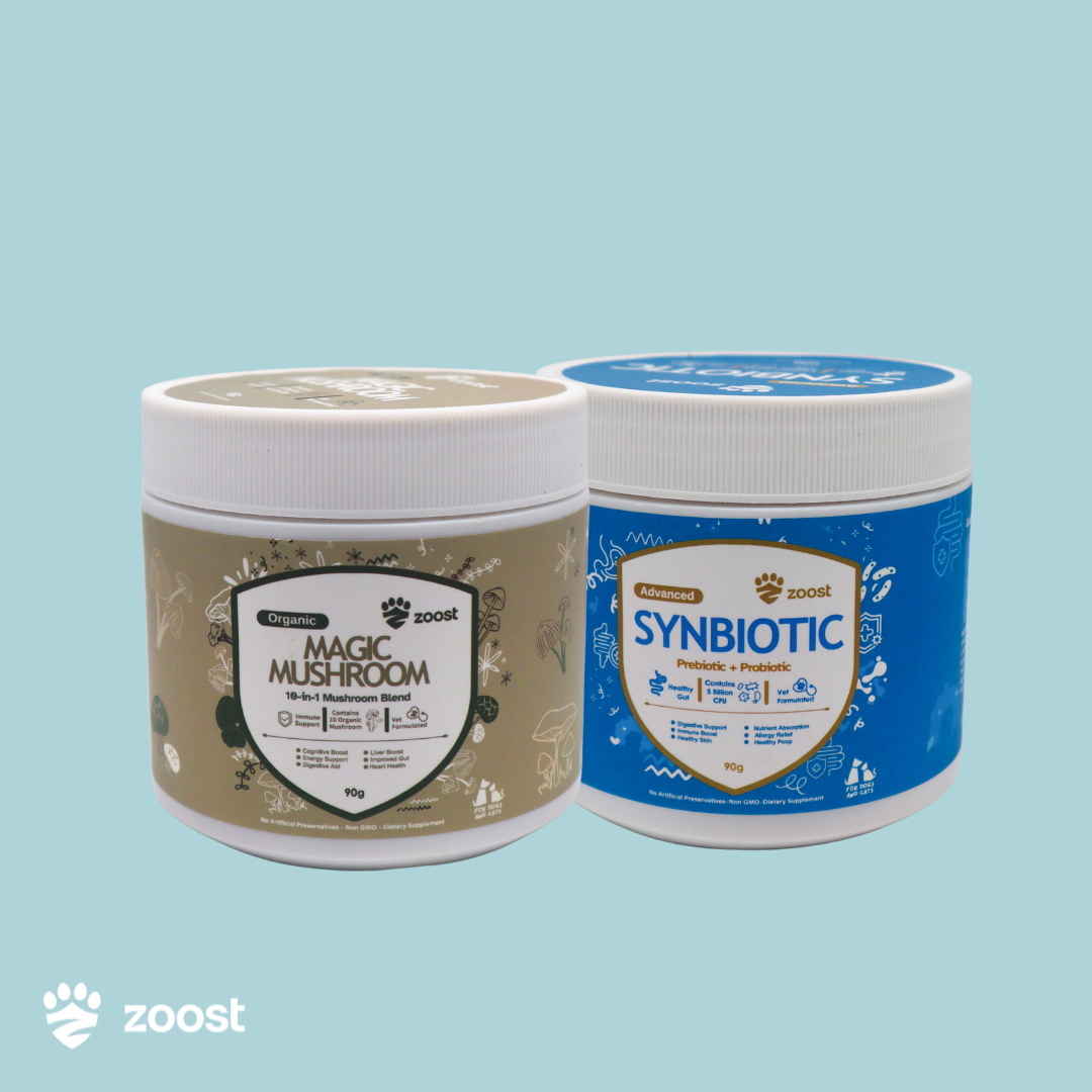 ZOOST [BUY 1 TAKE 1] Probiotic Prebiotic and Mushroom Powder for Dogs and Cats Gut Immune Digestion