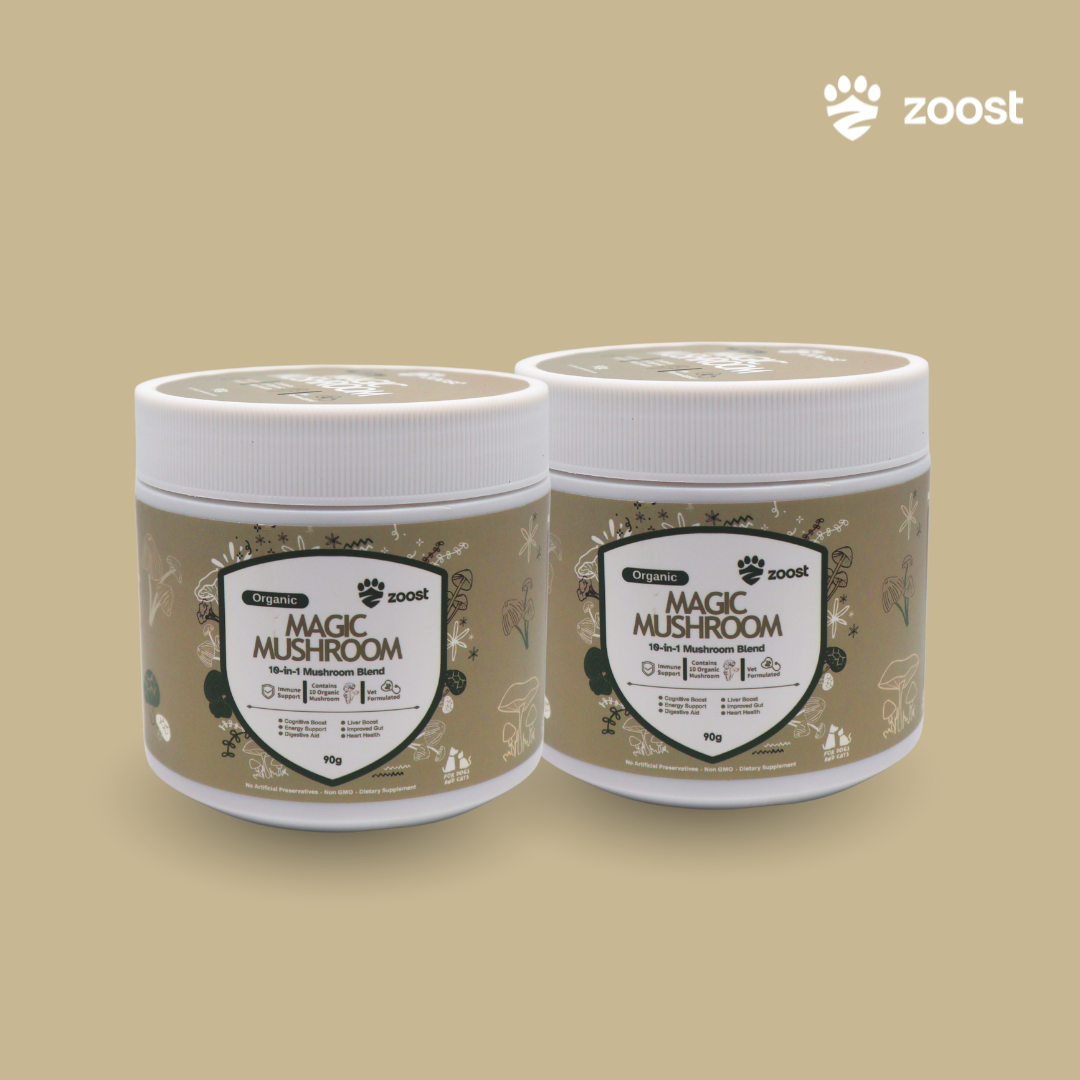ZOOST [BUY 1 TAKE 1] Probiotic Prebiotic and Mushroom Powder for Dogs and Cats Gut Immune Digestion