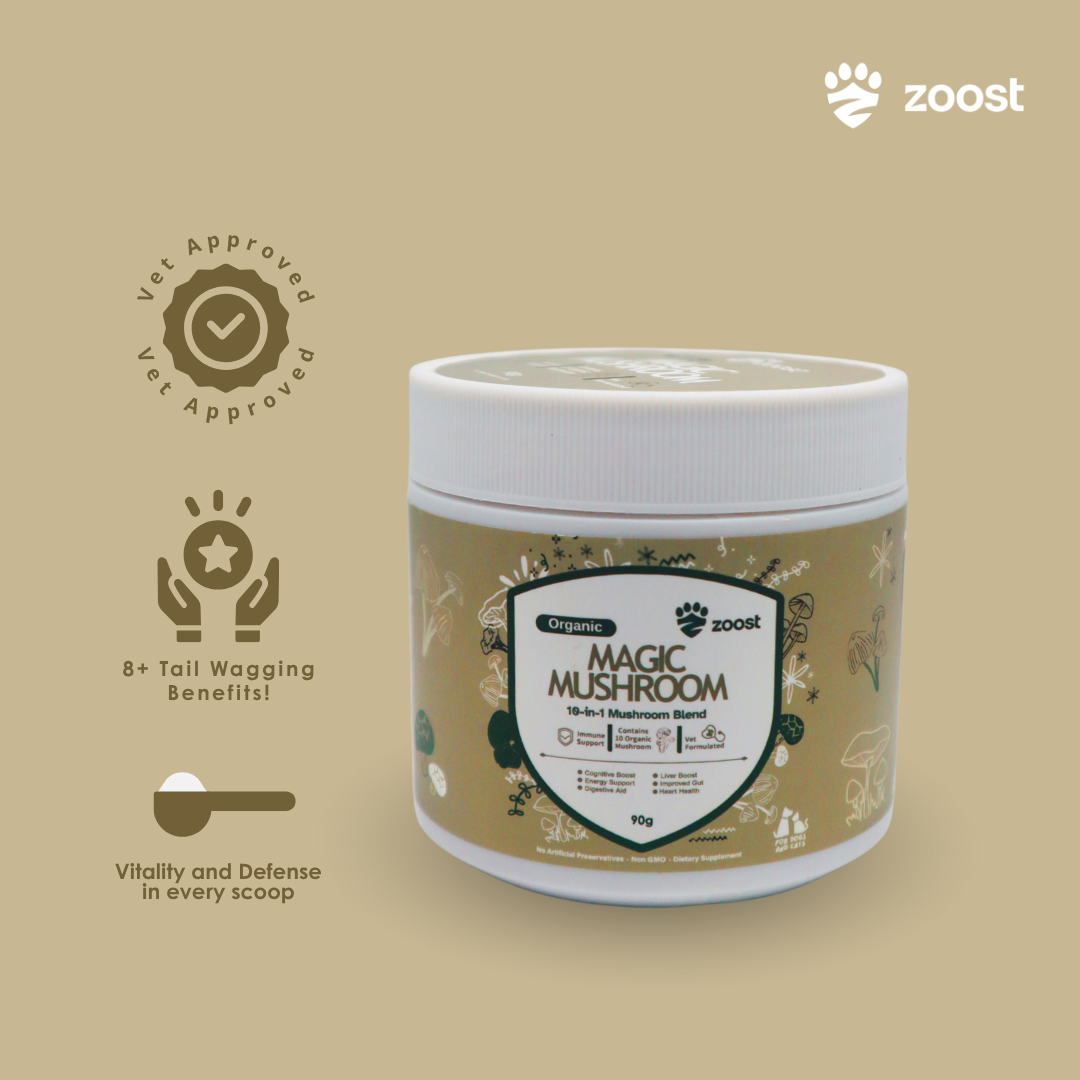 ZOOST 10 in 1 Mushroom Powder Supplement for Dogs and Cats - For Immune, Energy and Vitality