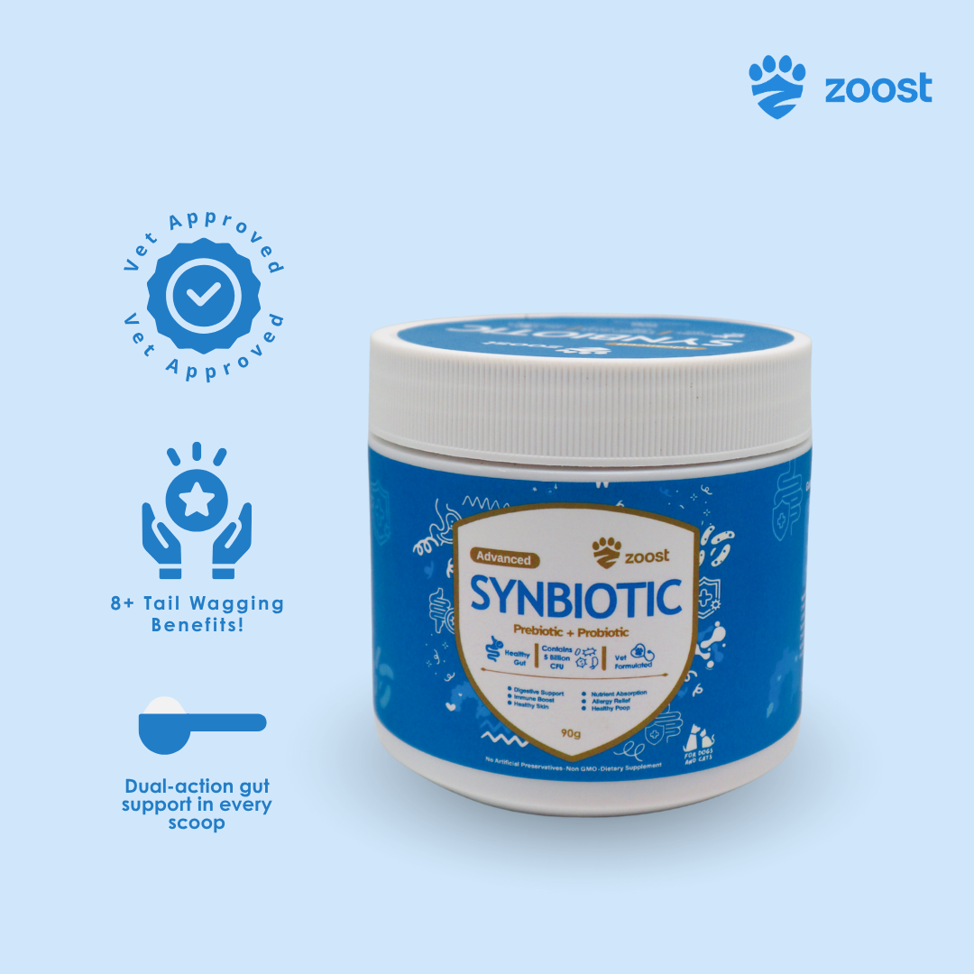 ZOOST Synbiotic Probiotic and Prebiotic Powder Supplement for Dogs and Cats (90g)